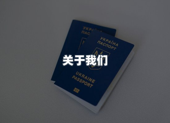 关于我们